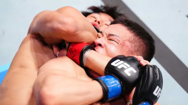 UFC Vegas 108