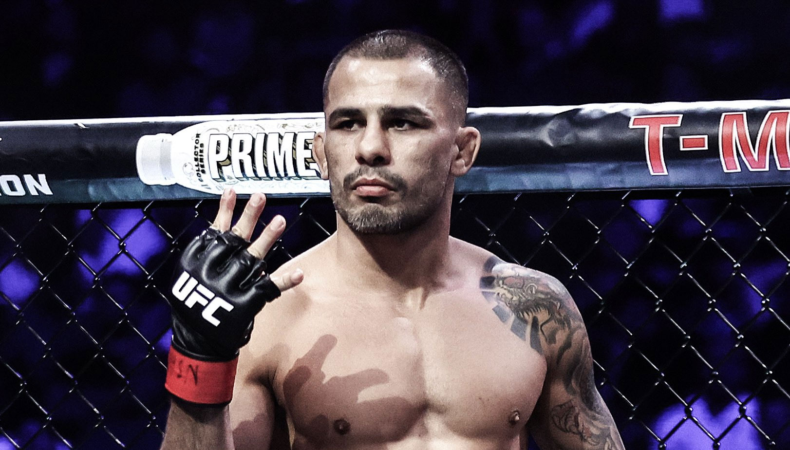 Александр Пантожа UFC 317