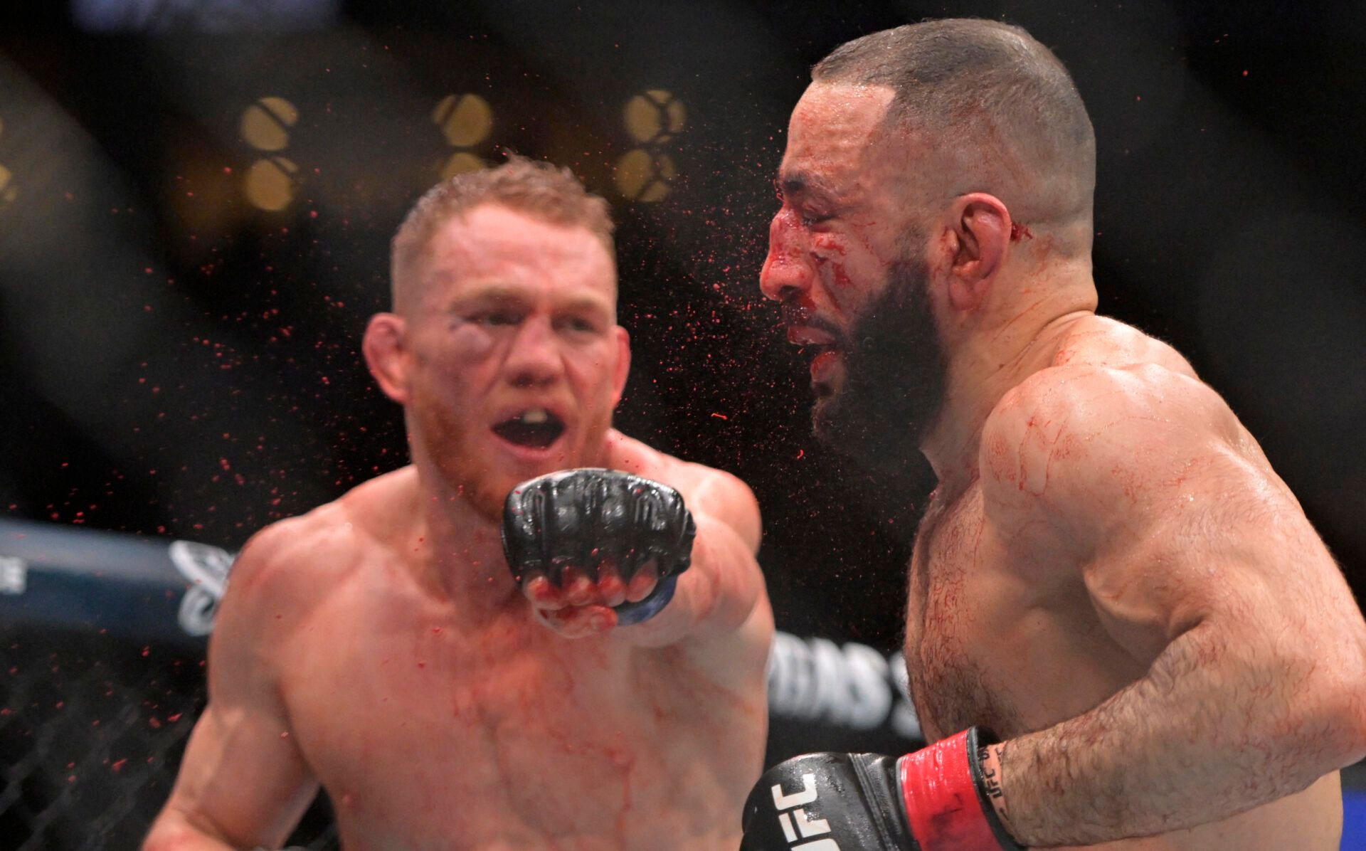 UFC 315 результаты всех боев турнира