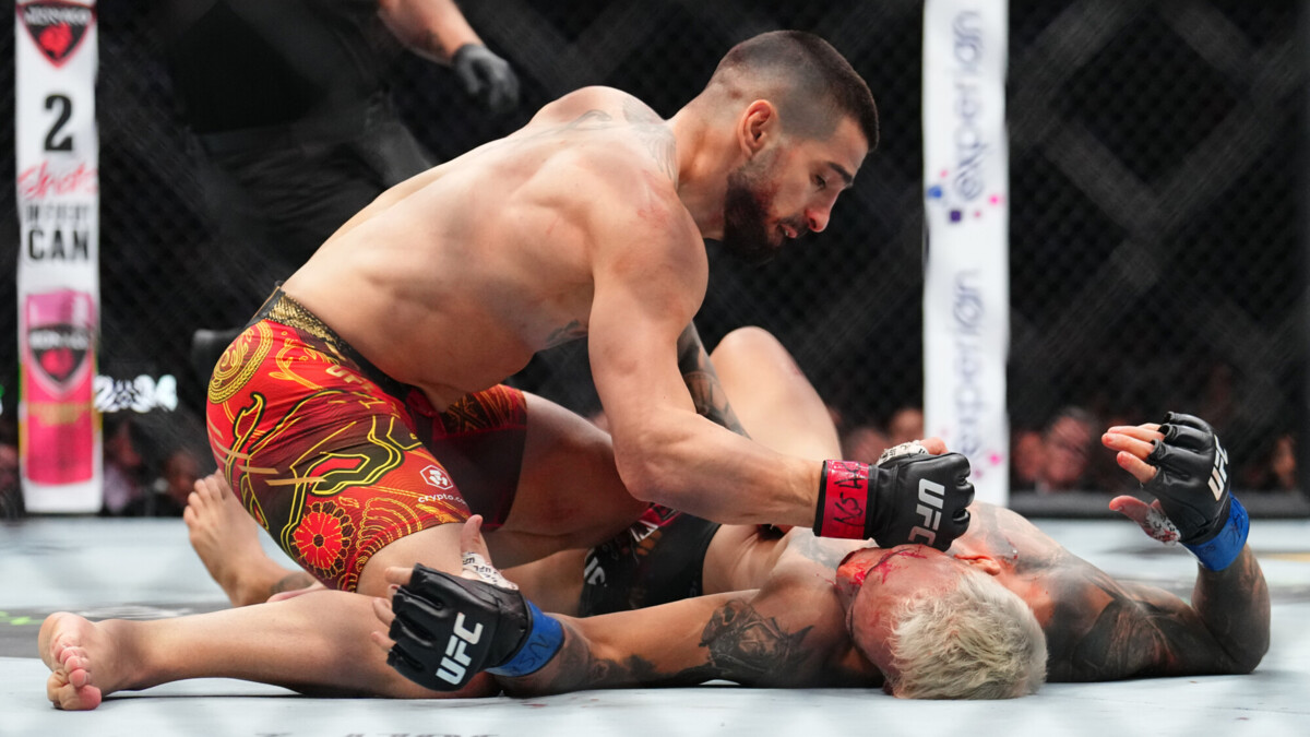 Бойцы из Бразилии в UFC