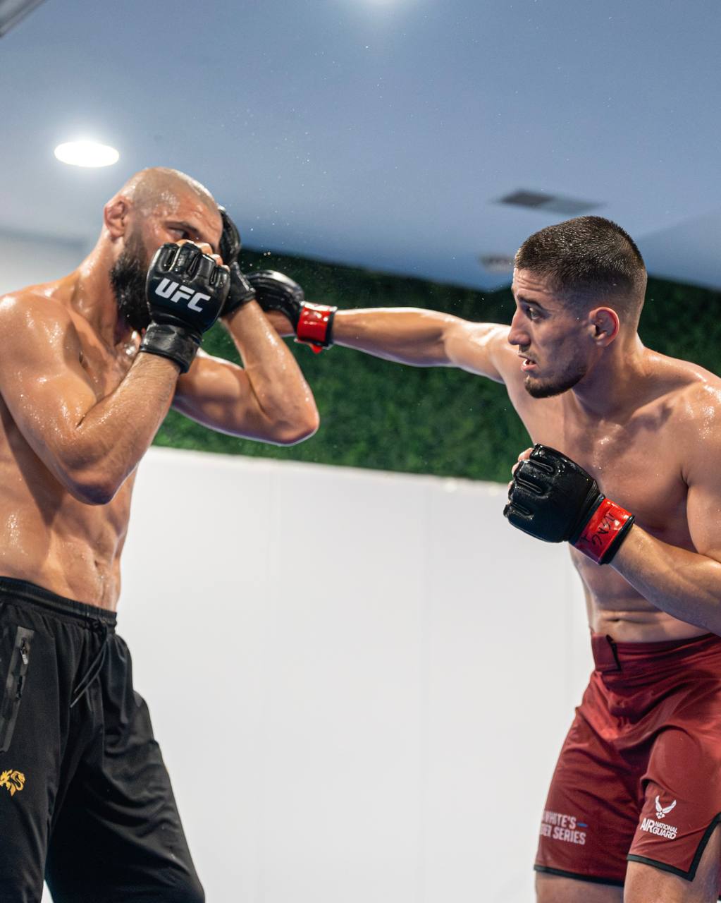 Сусуркаев и Чимаев